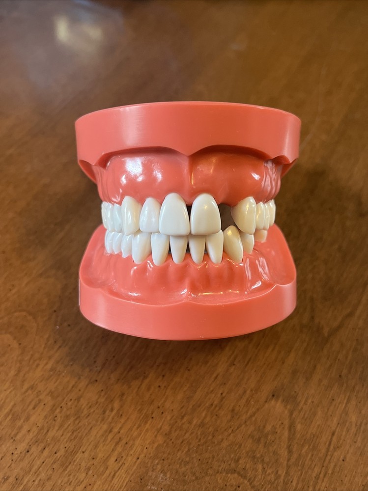 Kilgore Mcg 1 Fixed Dentoform x2