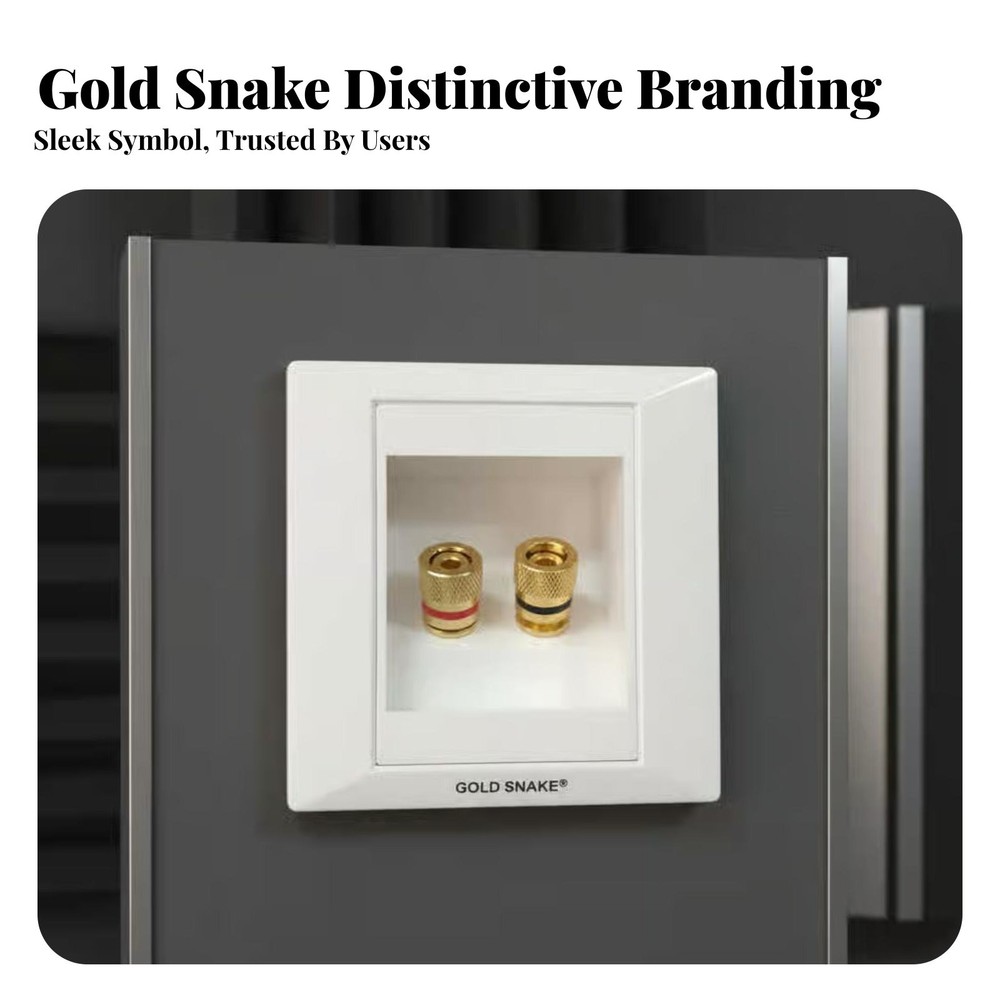 2 Binding Post Banana Plug Audio Wall Face Plate 85mm