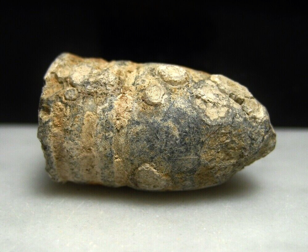 Battle of Cold Harbor VA Civil War Relic .577 Caliber Bullet Dug by Bill Gavin