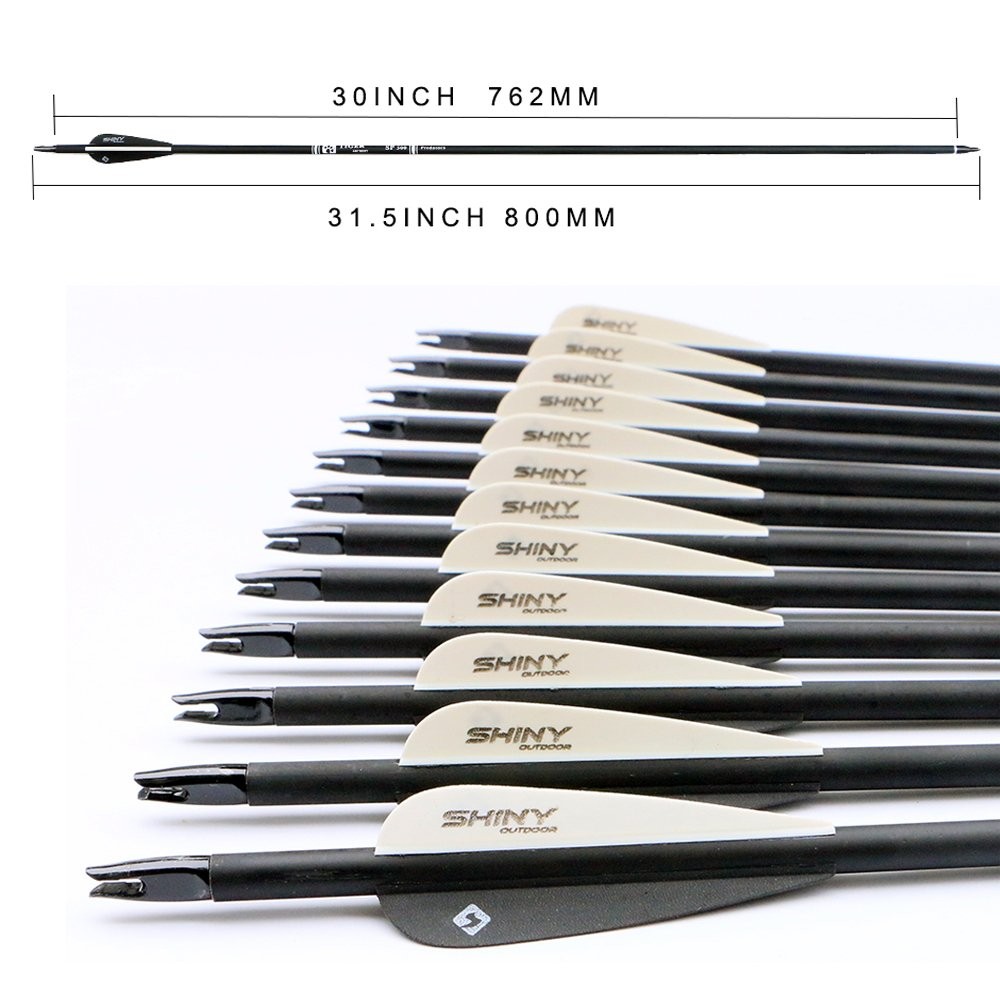 30Inch Carbon Arrow Practice Hunting Arrows with Removable Tips for Compound ...