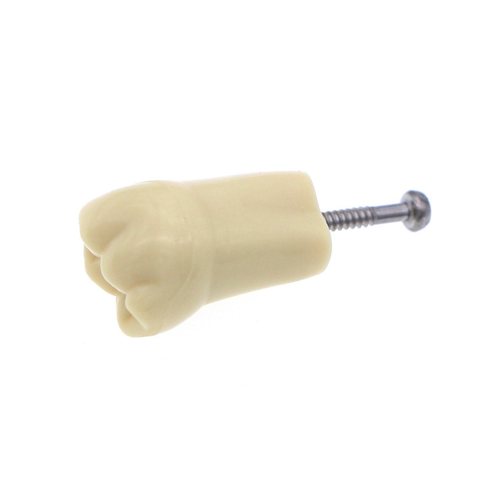 Dental Replacement Frasaco AG3 Type 32PCS Teeth Kit Model Screw-in Typodont