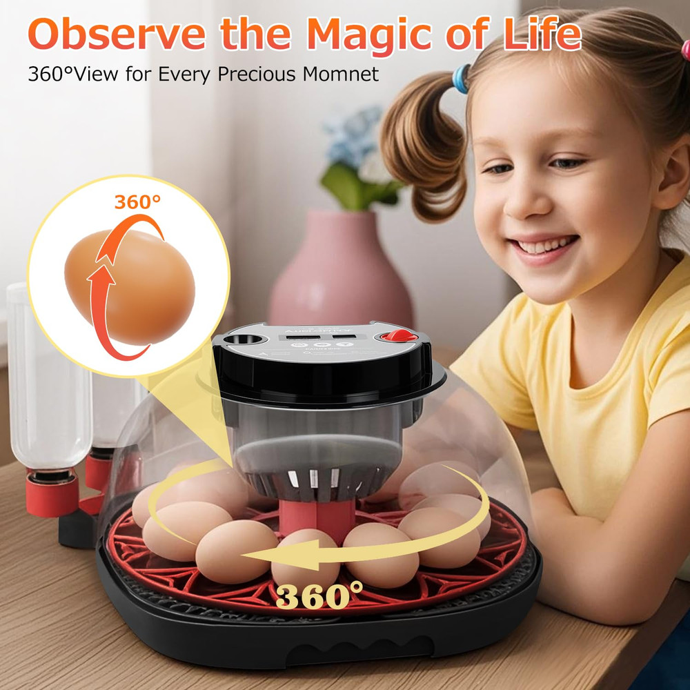 12 Egg Incubators for Hatching Eggs Automatic Egg Incubator with Temperature Con