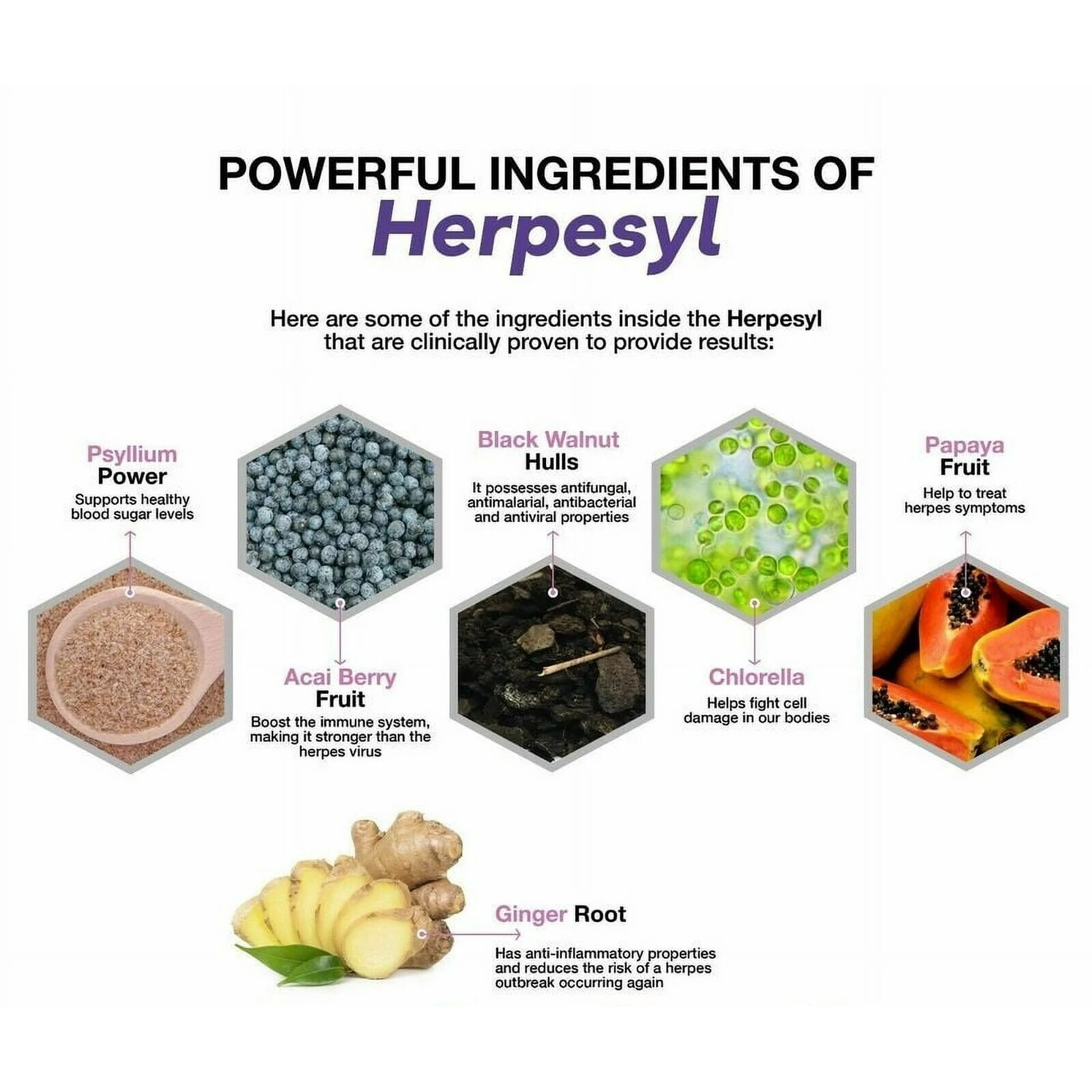 Herpesyl Pills Capsules Supplement Tablets Purple Bottle