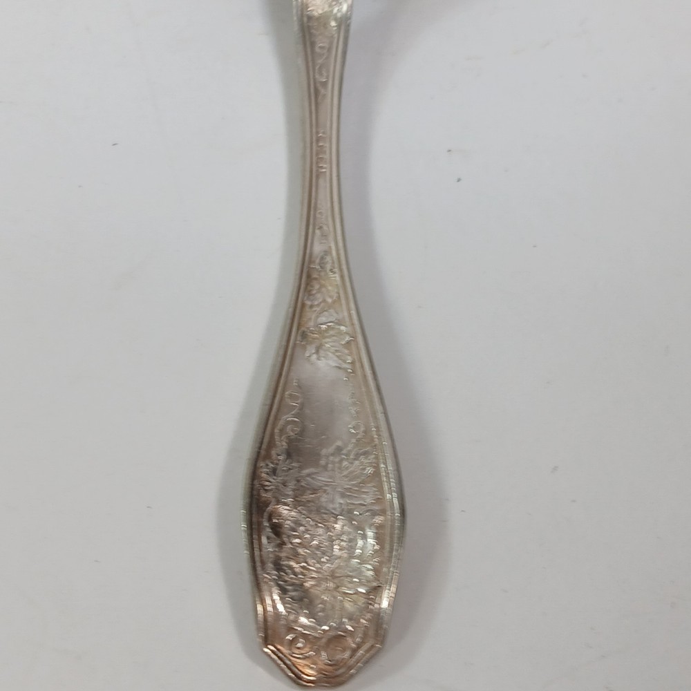 Isabella Grape 1913 R.C. Co. International Silverplate Sugar Spoon Vintage