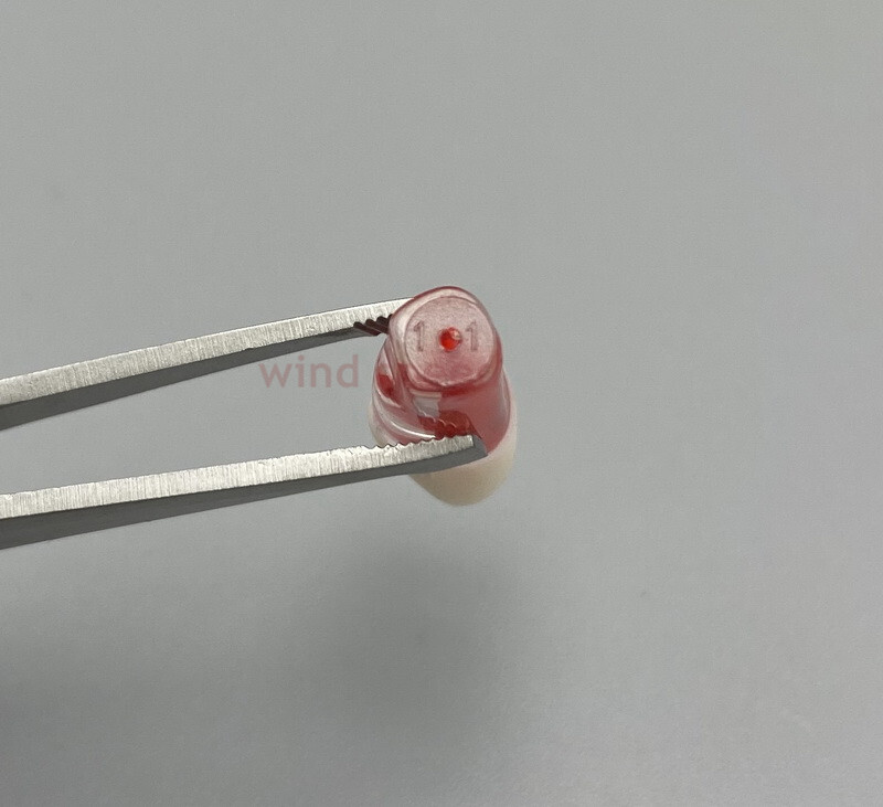 10*New Dental Root Canal Teeth Study Practice Model Endodontic Pulp RCT End File