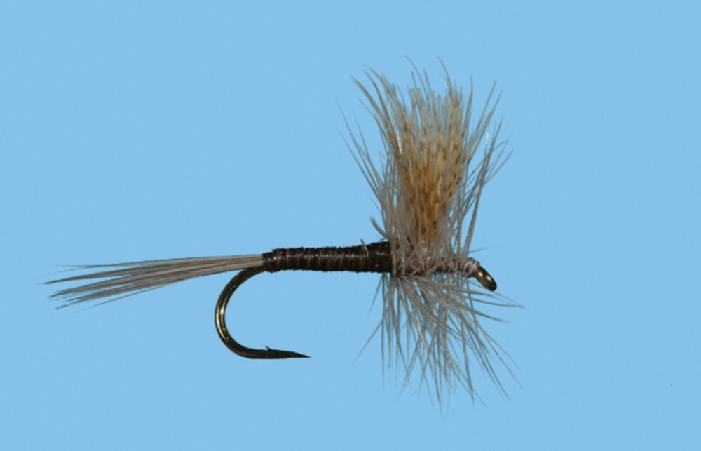 Quill Gordon Dry Fly