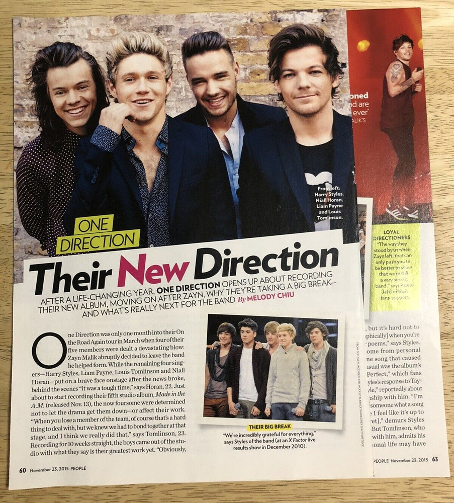 2015 ONE DIRECTION - Magazine  2-Page  Article Clipping
