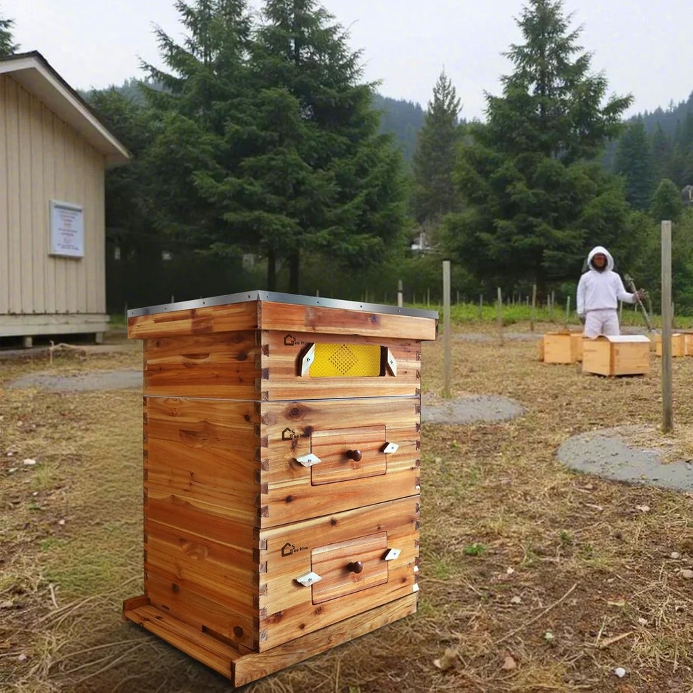 10 Frame Beehive Set with Beeswax Coating: Includes 2 Deep & 1 Medium Boxes