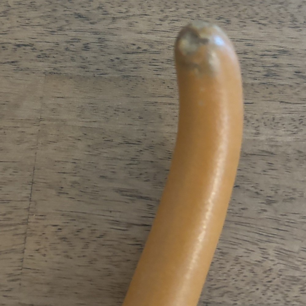 Etched Maraca Rattle Shaker Gourd