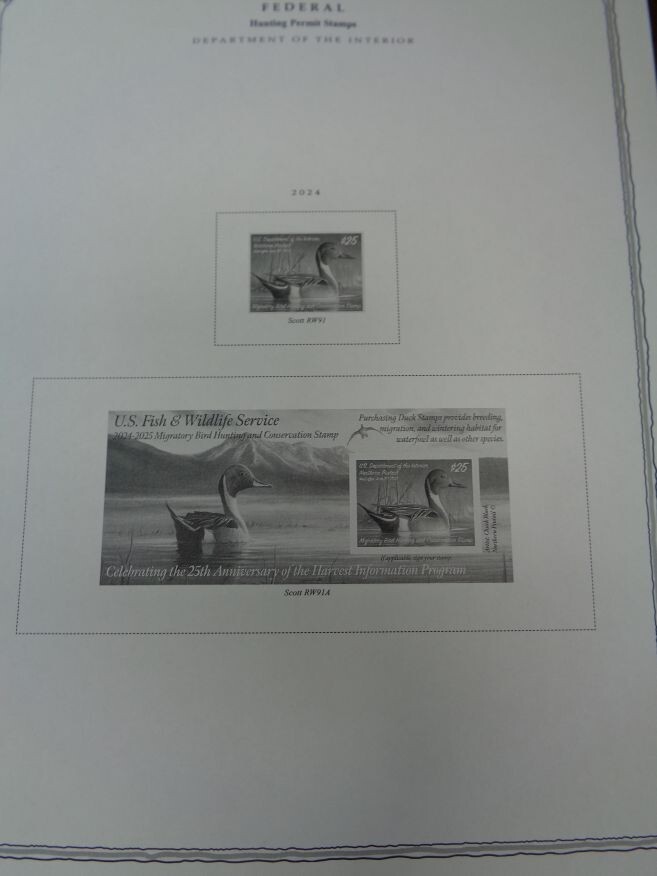 SCOTT US Minuteman 2024 stamp collection album pages supplement # 56 NEW Latest