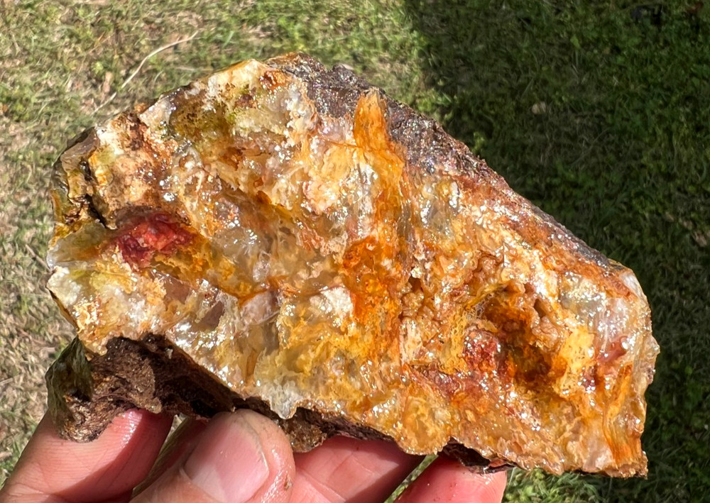Stunning Graveyard Point Plumey Agate end cut display piece - 287g