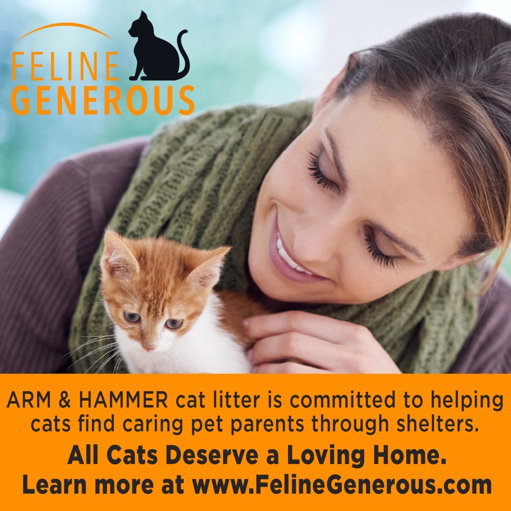 ARM & HAMMER Cloud Control Multi-Cat Clumping Cat Litter with Hypoallergenic