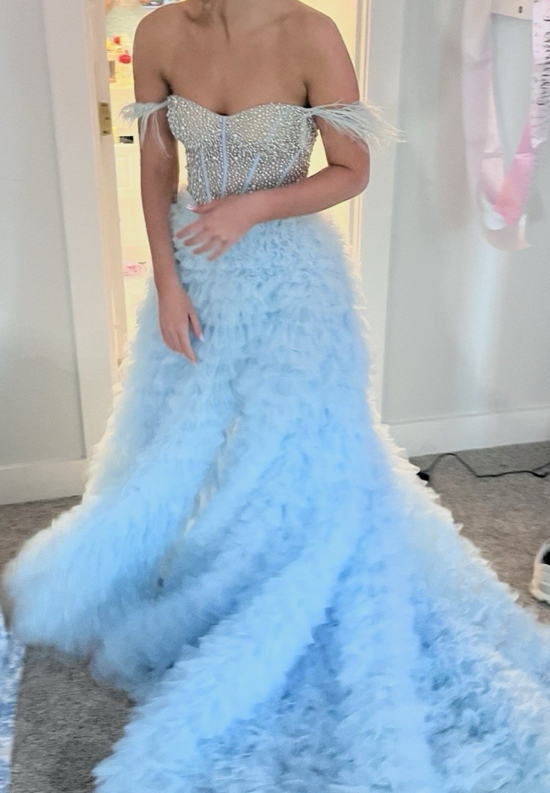 Sherry Hill Gown 55387 Tulle, Feathers Size 00