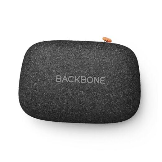 Universal Controller Case – Lightweight & Durable Case with Travel-Ready Black