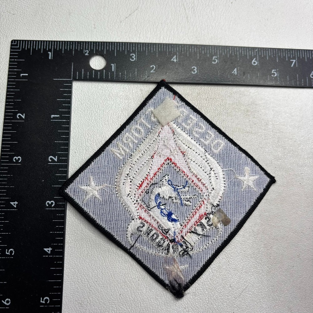 Recent-Make DESERT STORM SKY DRAGONS Military Patch 62NB