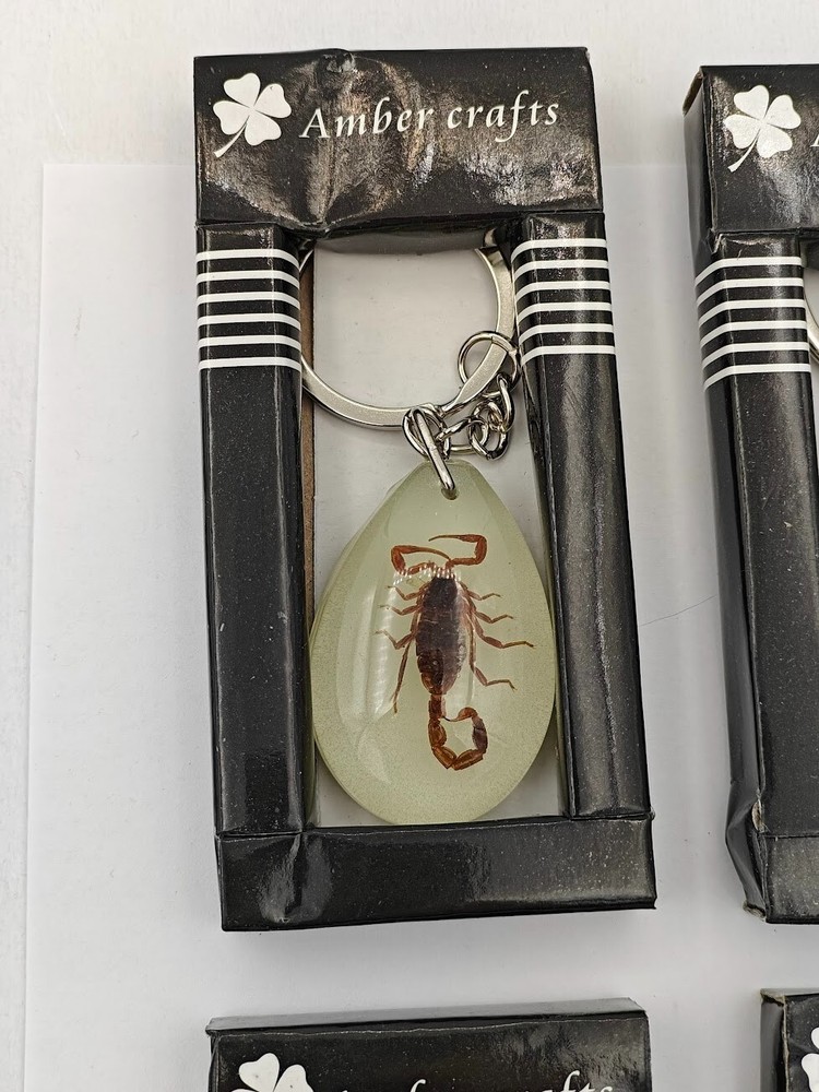 4 PACK! SCORPION Luminous Insect Glowing Keychain Glow in Dark Assorted Shape