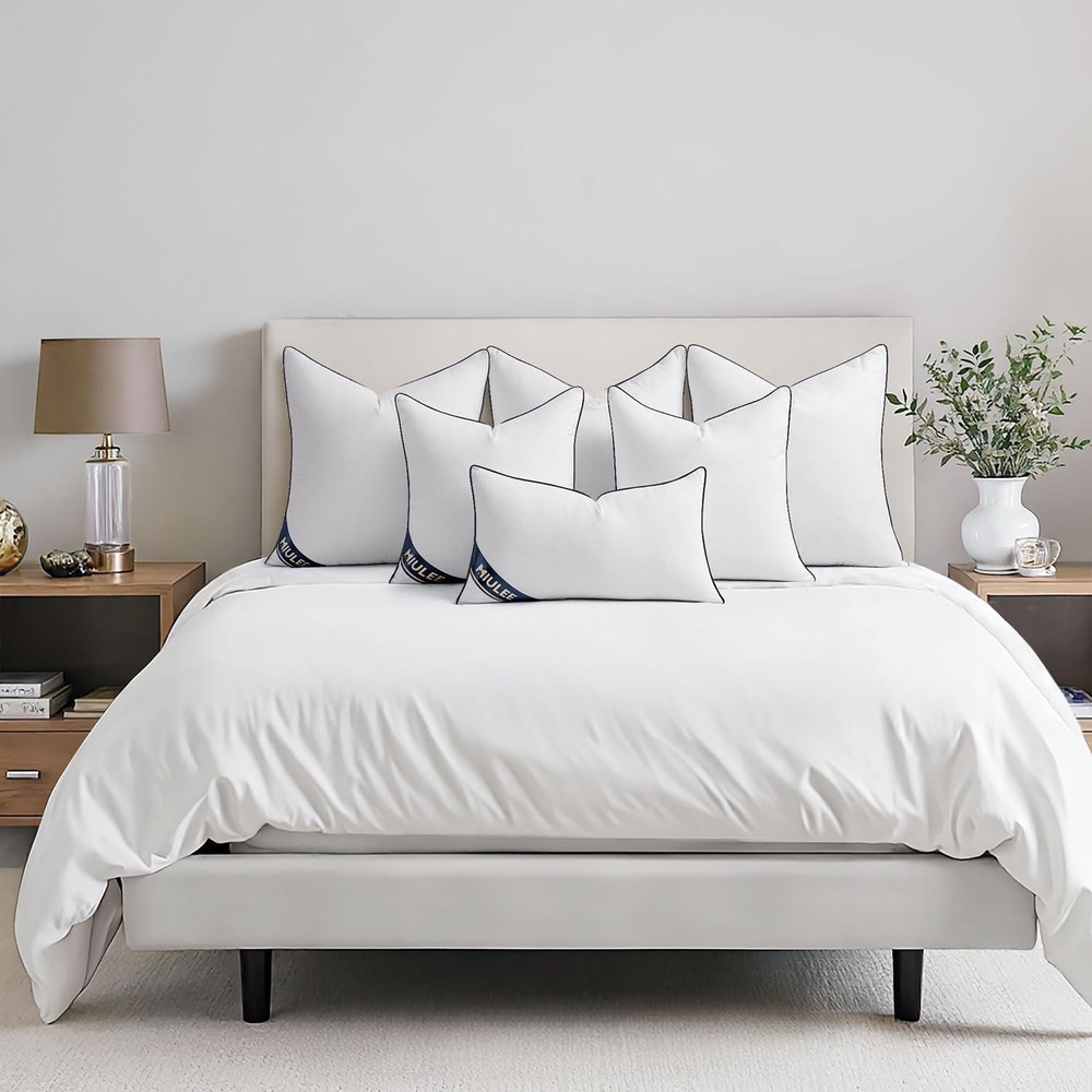 MIULEE Set of 2 Standard Throw Pillows Premium Down Alternative Inserts