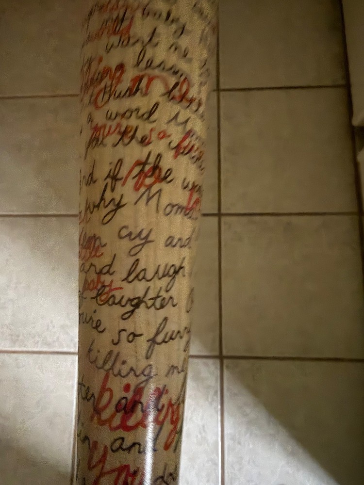 Harley Quinn Bat