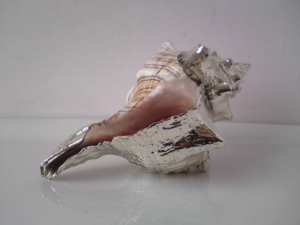 Shankha Silver overlay mounted seashell trapezium horse conch shell
