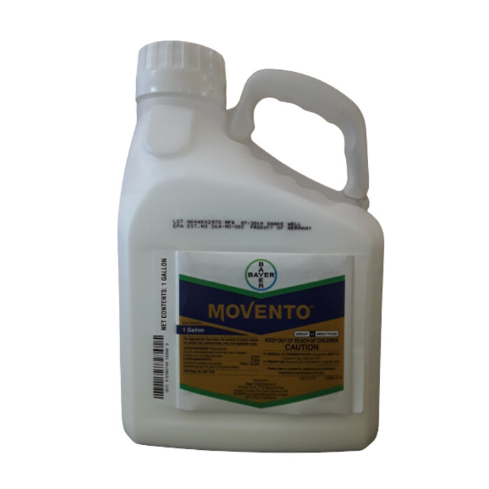 Movento Insecticide - 1 Gallon