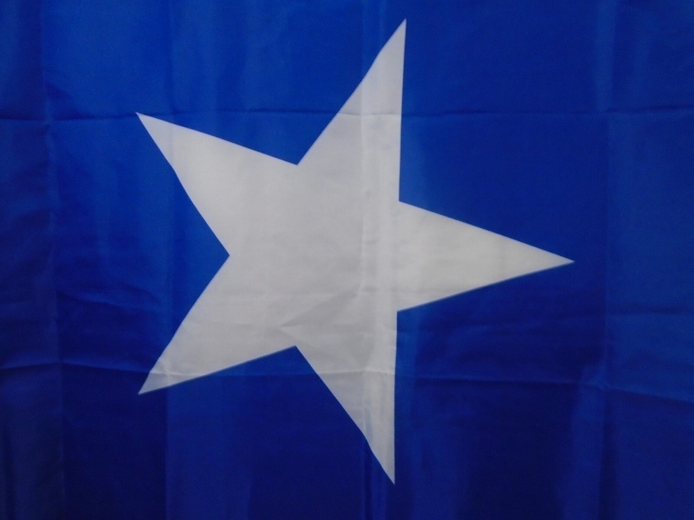 Texas State Flag Nylon 3 ft x 5 ft Lightweight