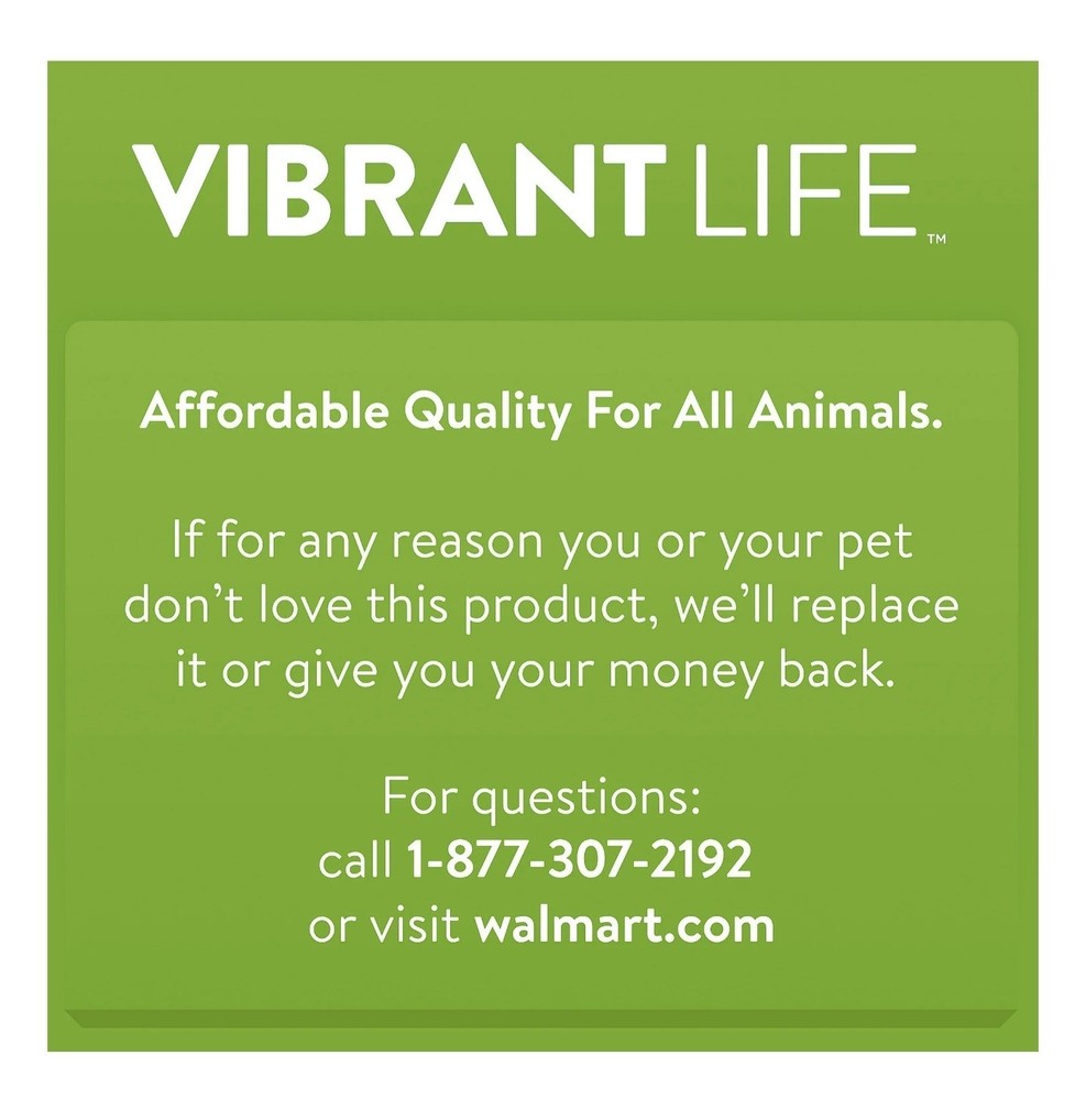 Small Animal Grooming Kit