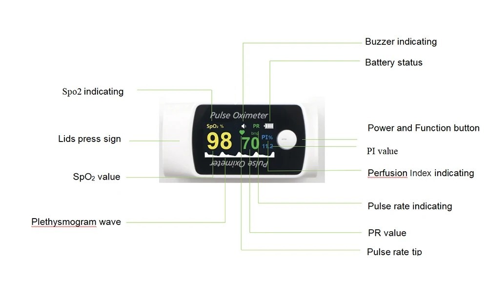 New 2-in-1 smart fingertip pulse oximeter with blood pressure measurement