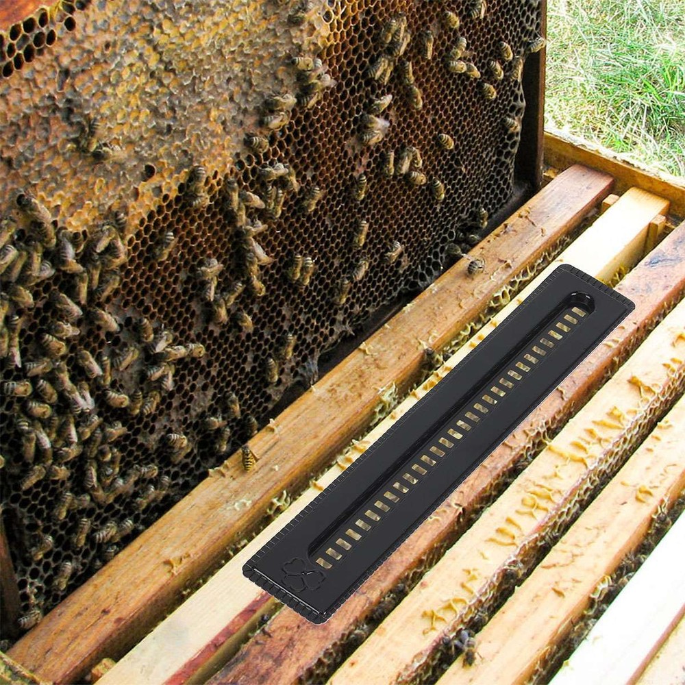 30Pcs Black Small Bee Hive Beetle Blaster Beehive Beetle Trap Beekeeping Tools