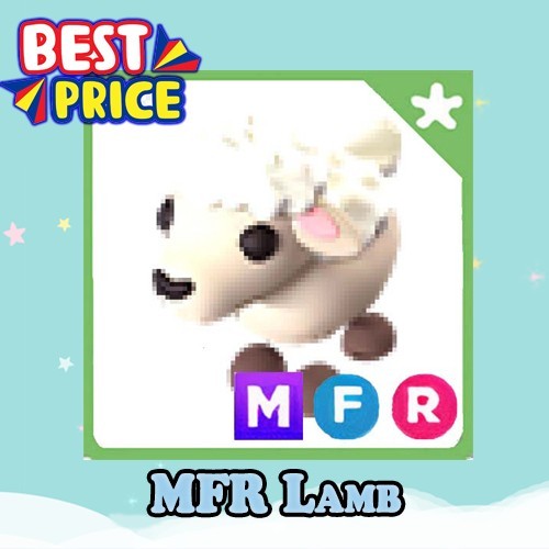MFR Lamb - Adopt right now