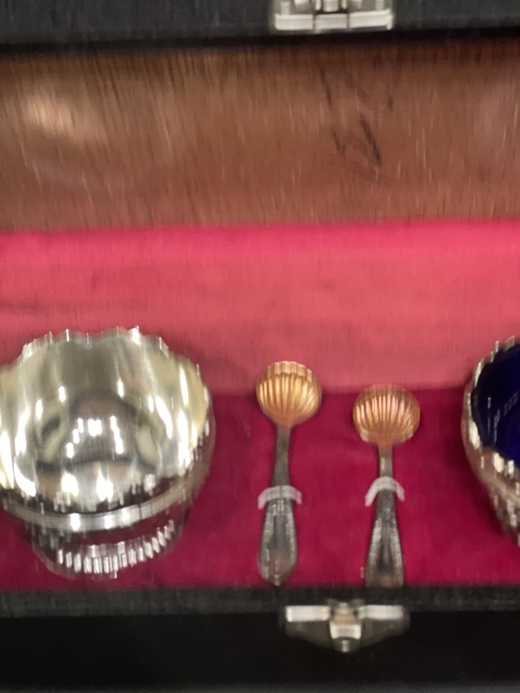 Silver Plated Salt & Pepper Cellars