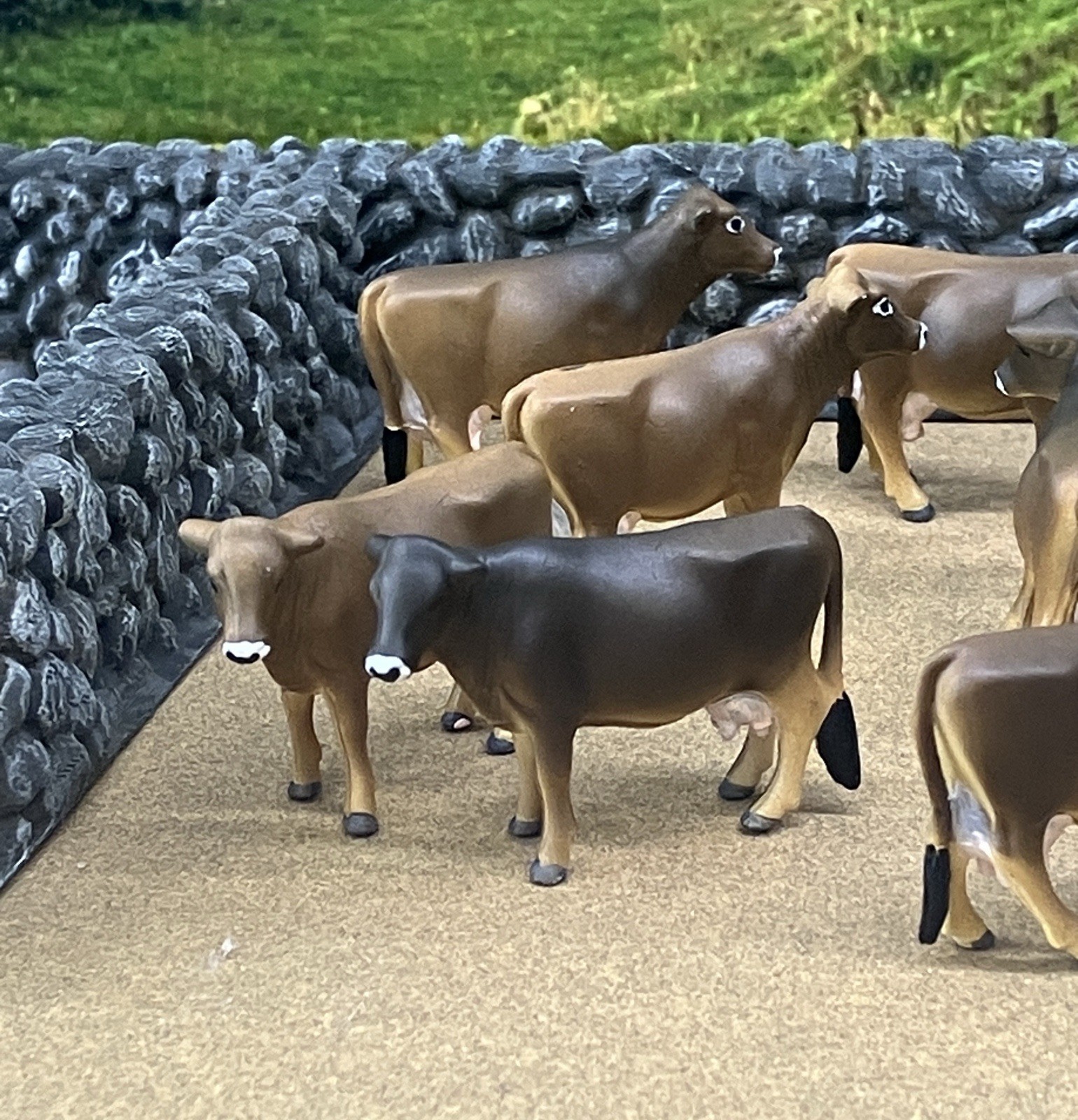 Custom CM Ertl 1:64 Lot Of 12 Jersey/Brown Swiss Milk Cows Cattle Farm Scene