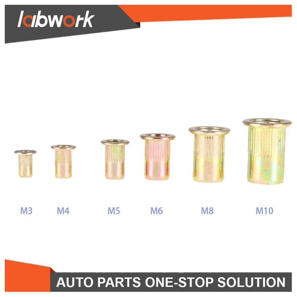 Labwork Rivet Nut Gun Kit Rivnut Tool Setter Thread Setting Nutsert Tool 900 Pcs