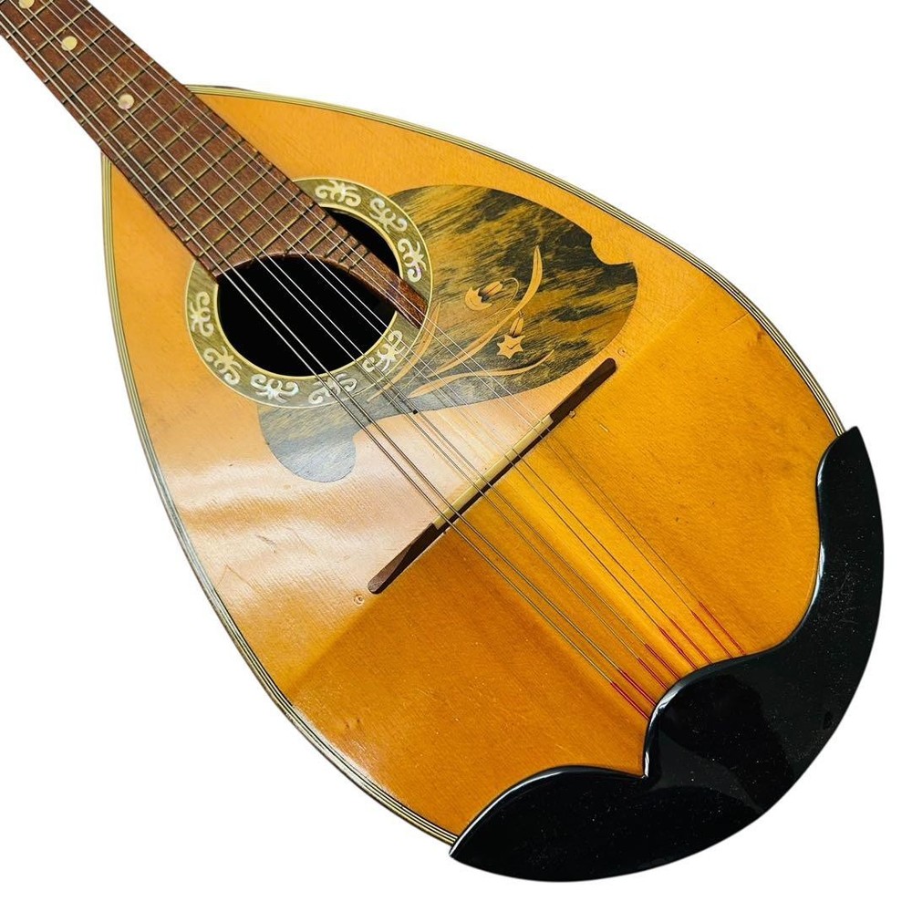 Suzuki Violin Suzuki Violin Mandolin