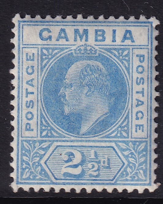 GAMBIA EDVII SG60, 2½d bright blue, MNH