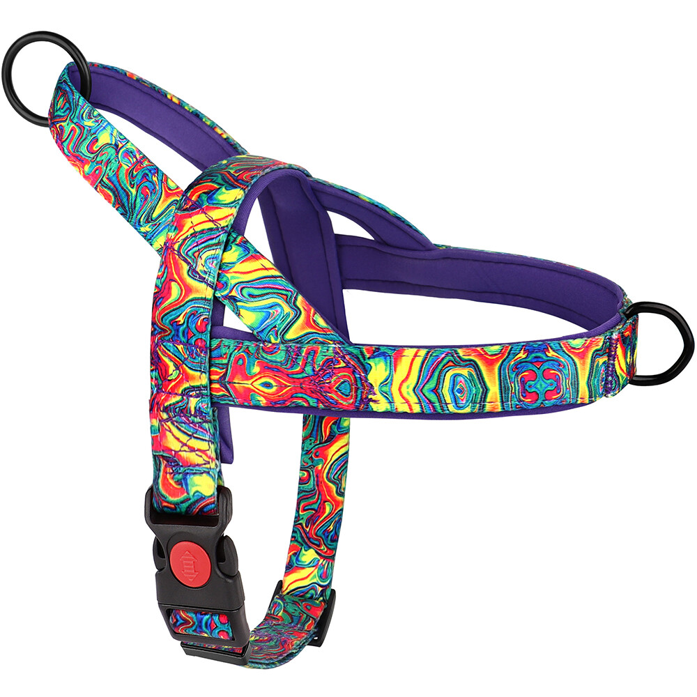 No Pull Dog Harness Nylon Soft Padded with Front Clip for Small Medium Large Dog