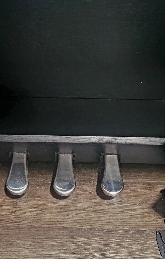 Piano Donner Electric Professional Hammer