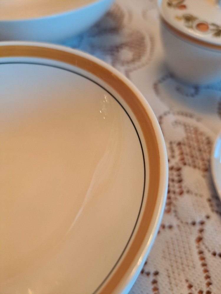 Franciscan Dinnerware Pickwick Pattern 42 Piece Grouping Ceramic Porcelain