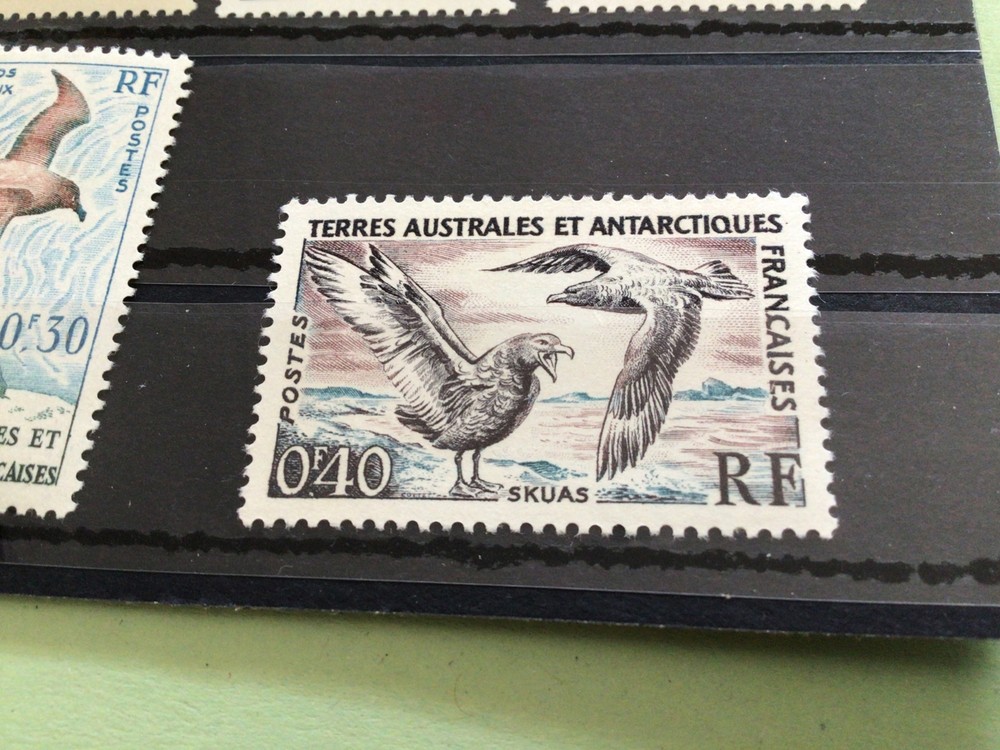 French Antarctic mounted mint vintage stamps Ref 65712