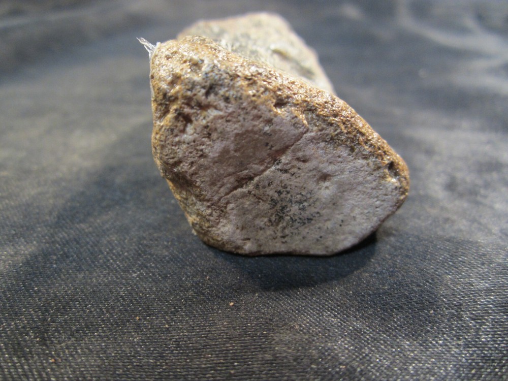 Dinosaur Bone Mosasaur Bone Ozan Formation Texas, US