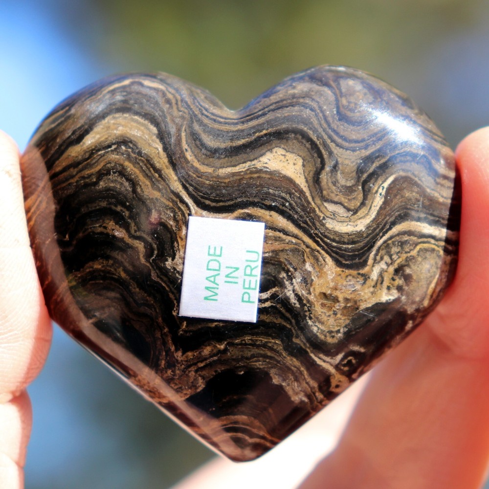 Polished Stromatolite Heart (MSC33)