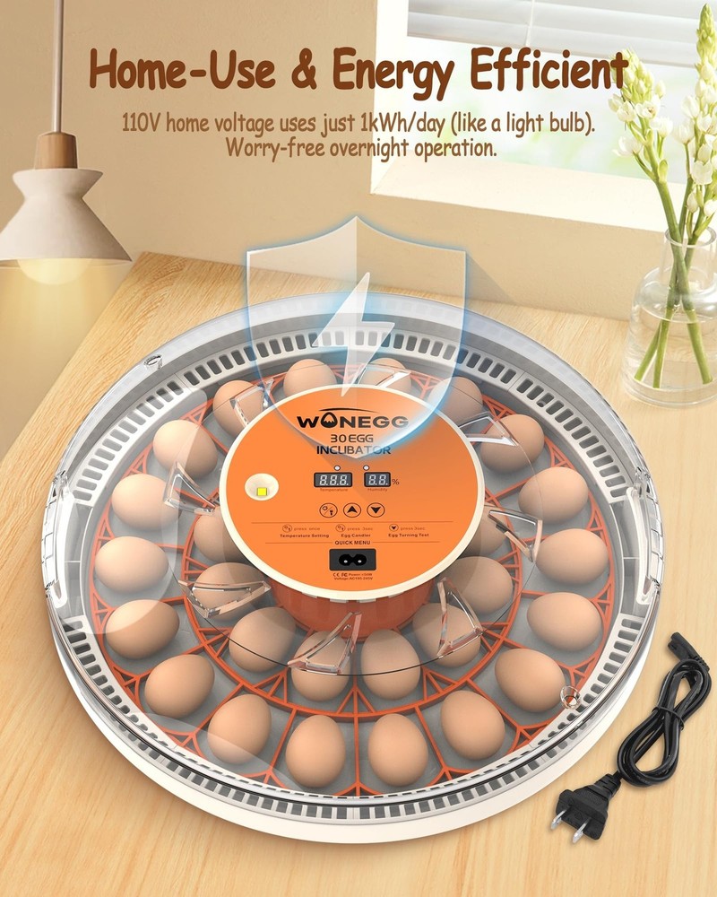 Incubator for Hatching Eggs, 30 Eggs Incubator with Automatic Egg Turning, Te...