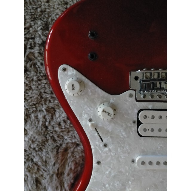 Fernandes Sustainer No.LG1347