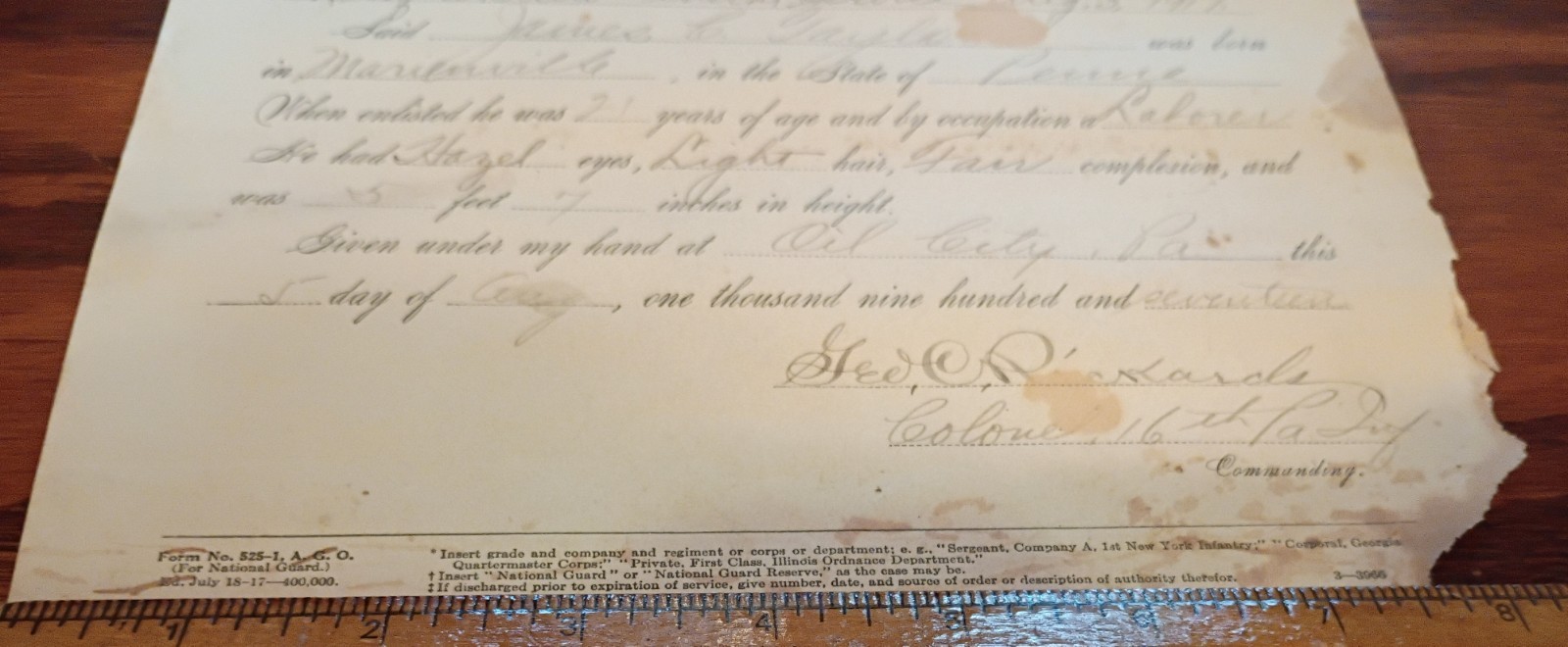 1917 US Army National Guard Honorable Discharge Certificate Marienville PA