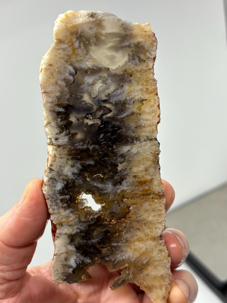 Plume Agate slab Cabbing Lapidary Combo Ship Avail Oregon