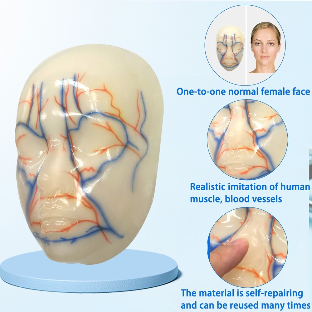 Facial Microcosmetic Training Model for Injection & Filler Practice Face Model