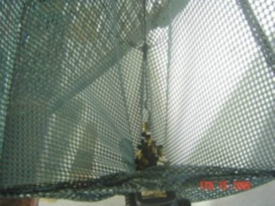 FREESTANDING BRASS TRAP CATCHER - for use with semi autos -- Tripod not included