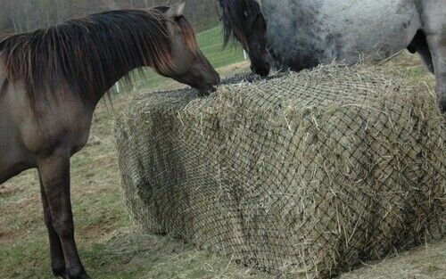 Hay Chix Large Bale Net - 6' | 1 3/4 Mesh Opening