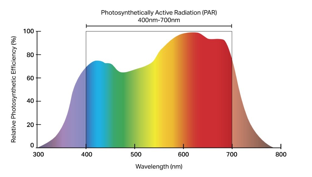 PHOTOBIO Advanced Quantum Sensor PAR Meter (Micromoles) ADVANCED NEW 2023 MODEL
