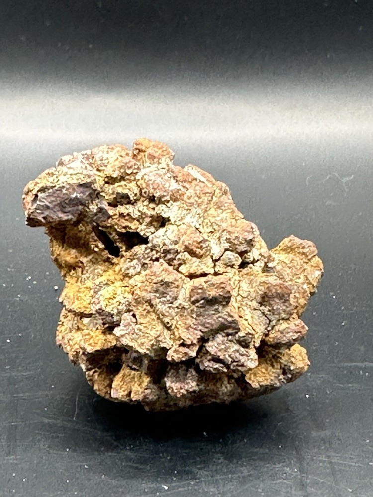 Dinosaur Coprolite -Fossilized- Genuine