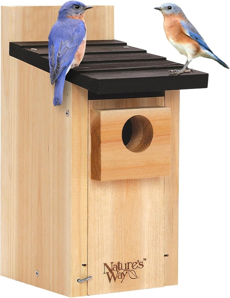 Durable Bluebird Box for Pet Lovers